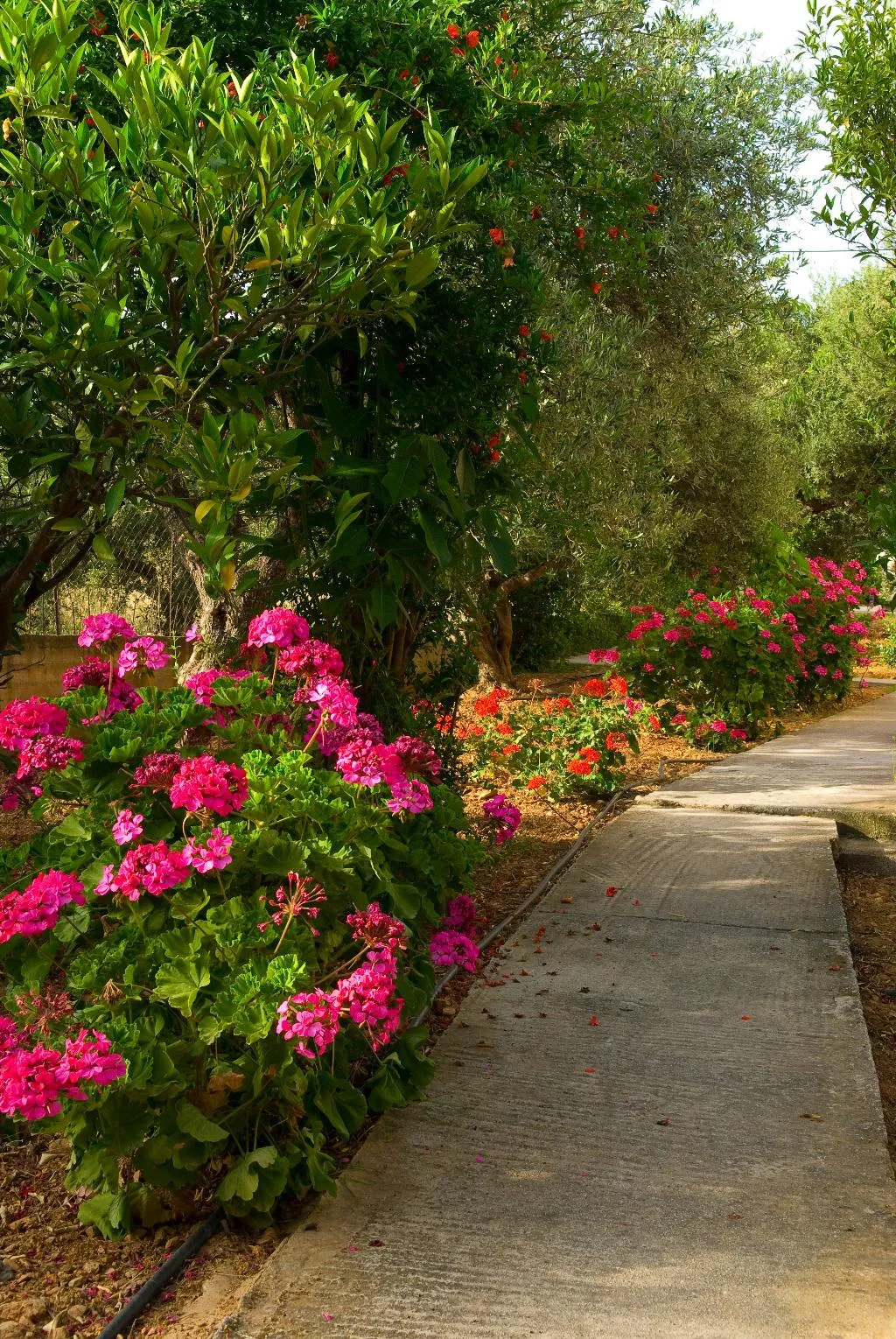 General view, Mirabella Apartments, Crete