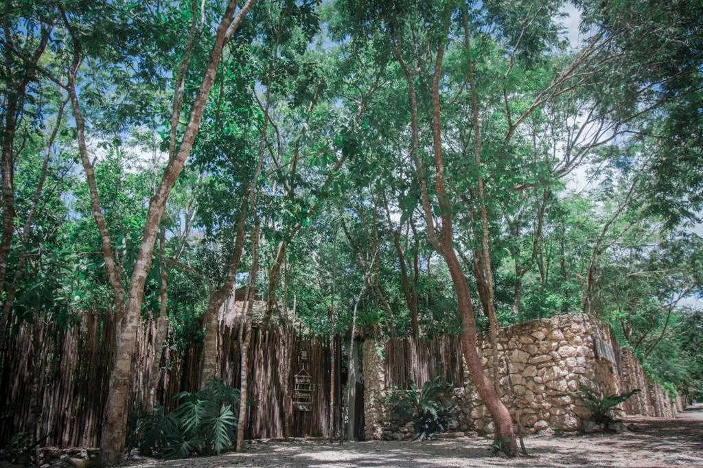 DOUBLE CLASSIC Room, Pepem Holistic Experience - Adults Only, Cancun Area