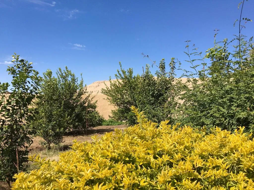 General view, New Memnon Hotel, Luxor