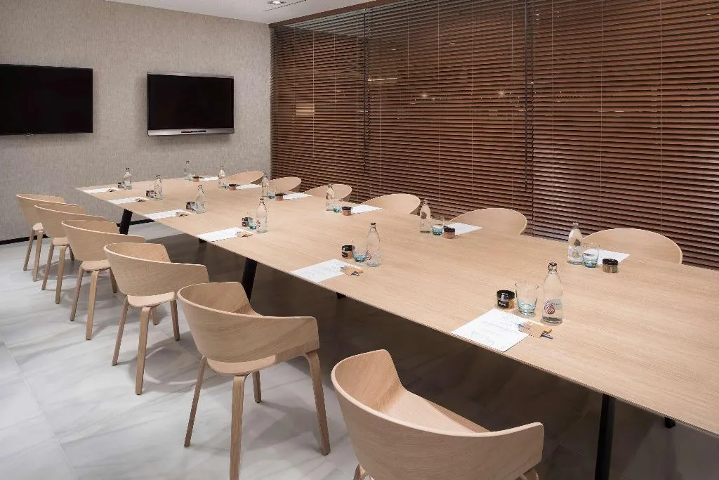 Conferences, Melia Madrid Serrano, Madrid