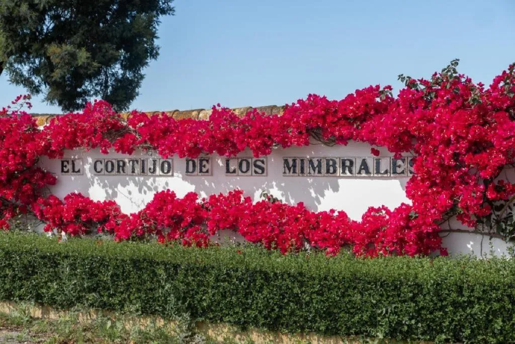 Lobby, El Cortijo de los Mimbrales, Costa De La Luz