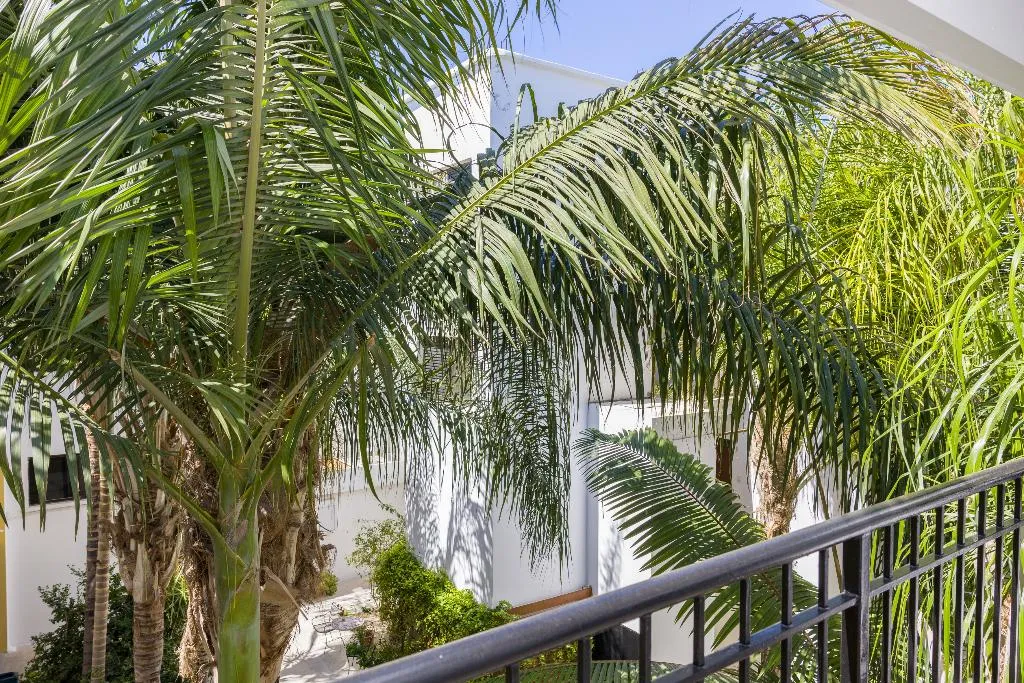 General view, Alecos Hotel Apts, Cyprus