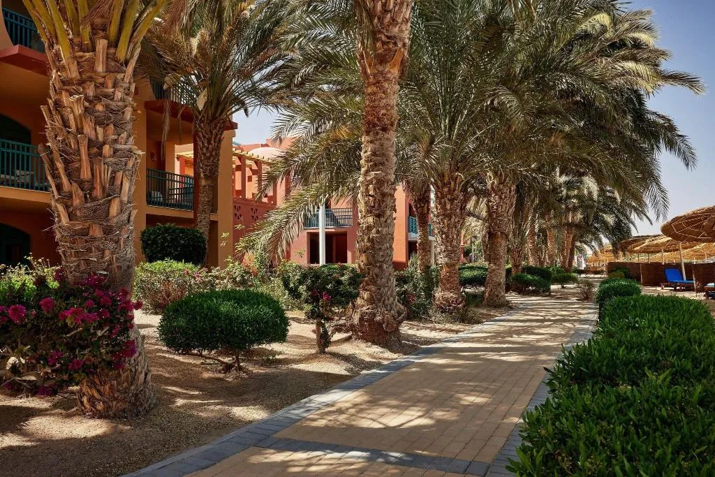 Beach, Sheraton Miramar, Red Sea Riviera