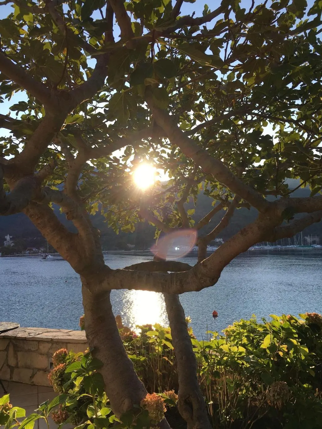 Terrace, Villa Almadria Luxury Bed & Breakfast Adults Only, Dubrovnik