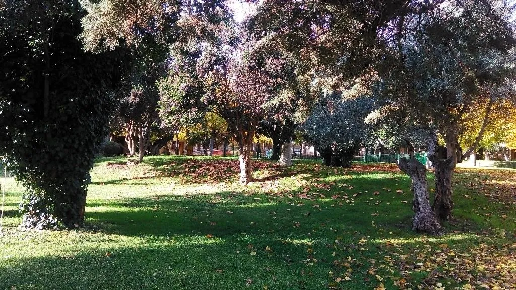 General view, Los Olivos, Madrid