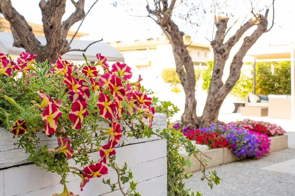 Terrace, Centremar, Costa Brava