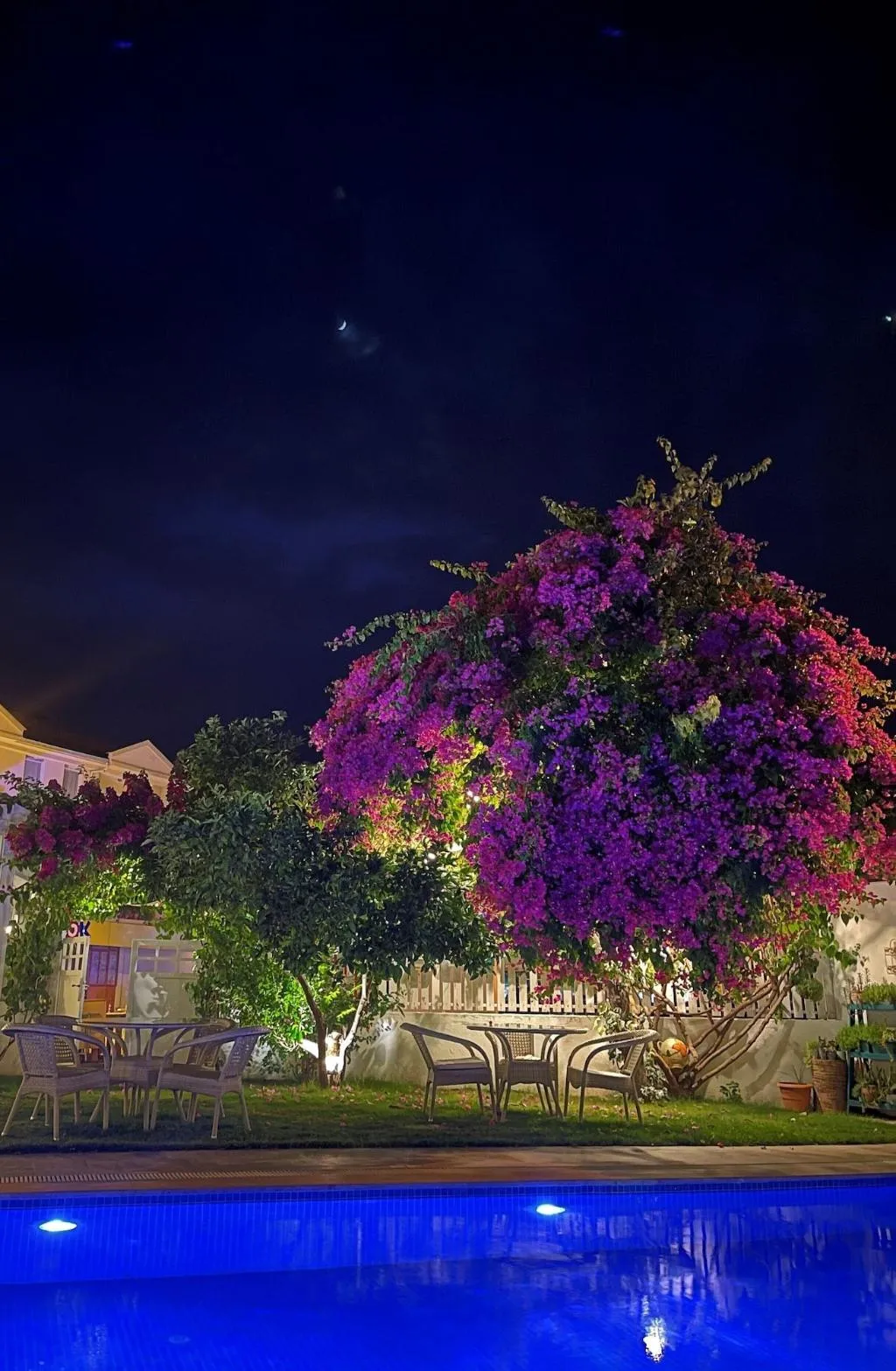 General view, Grandma's Garden, Dalaman