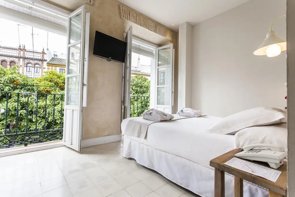 General view, Hotel Boutique Elvira Plaza, Seville
