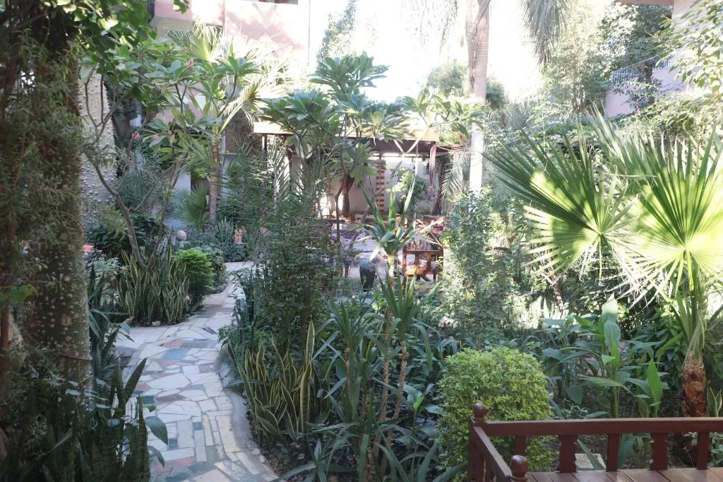 General view, Amon Hotel, Luxor