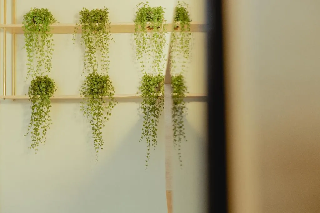 DOUBLE STANDARD Room, Metis Uls, Athens