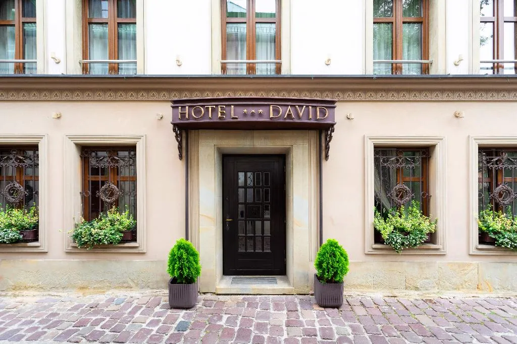 General view, David Boutique Hotel, Krakow