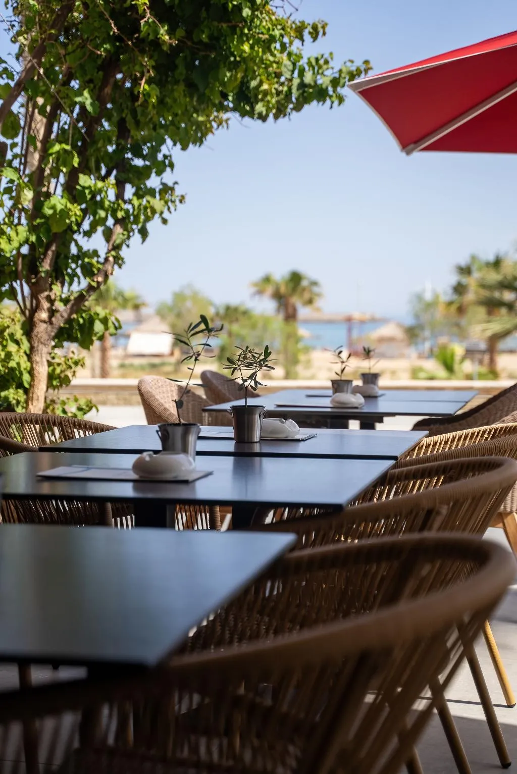 Bar, Kriti Beach, Crete