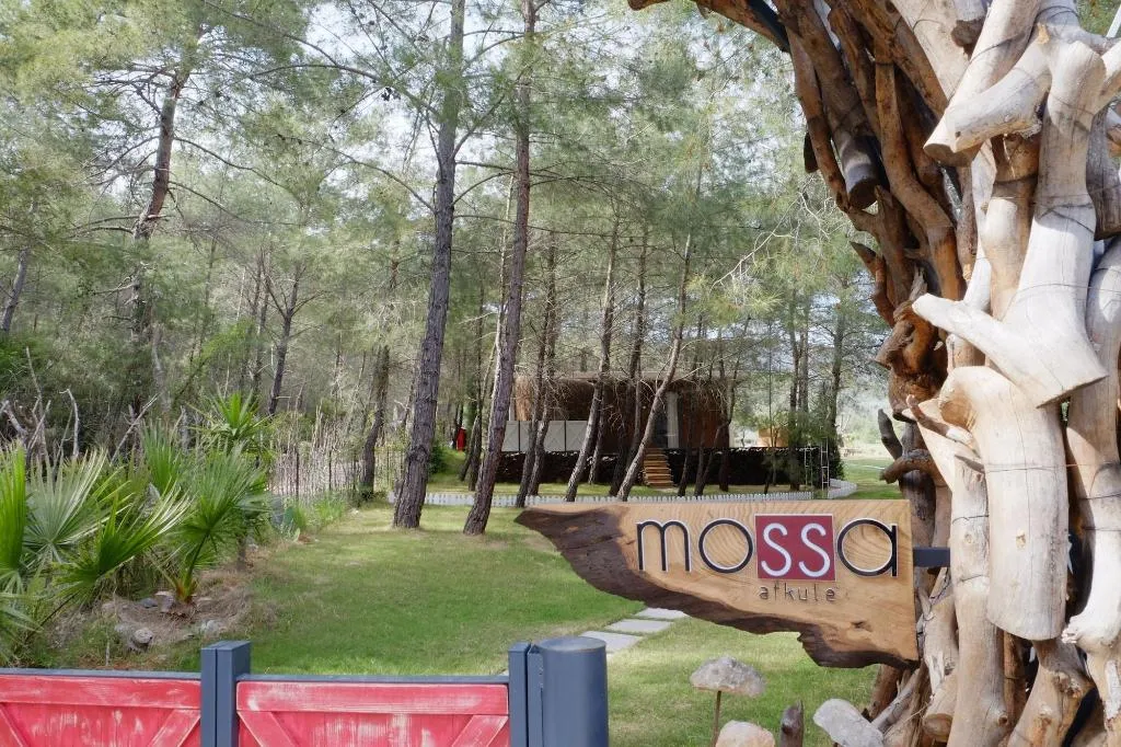 General view, Mossa Afkule Kayakoy, Dalaman