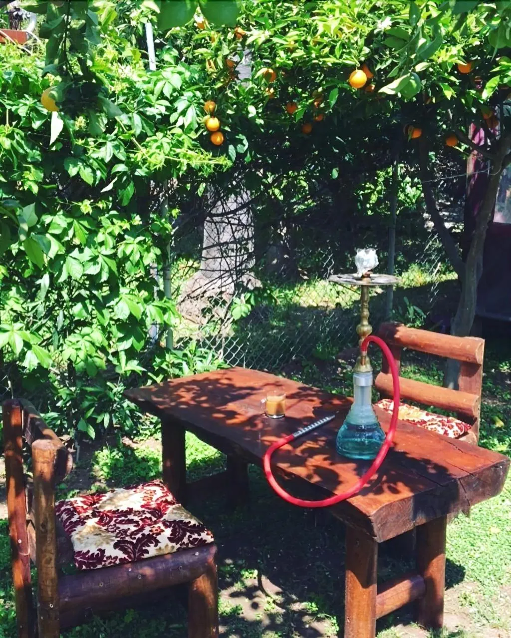 Restaurant, Alican Pension, Antalya