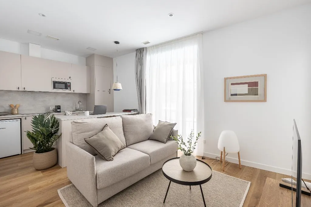 APARTMENT ONE BEDROOM Room, Libere Ciudad Real, Madrid