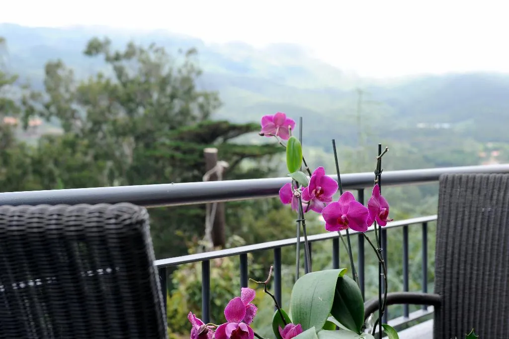 Terrace, Quinta da Cova do Milho, Madeira