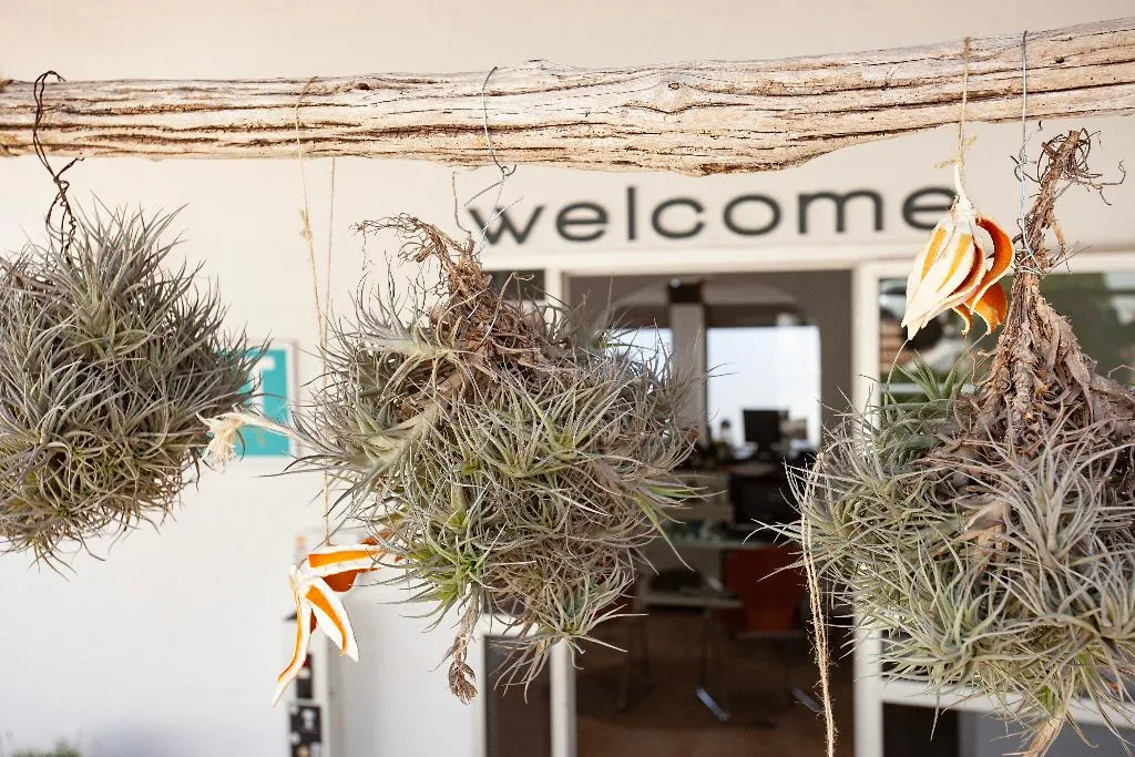 Lobby, Apartamentos Europa, Majorca