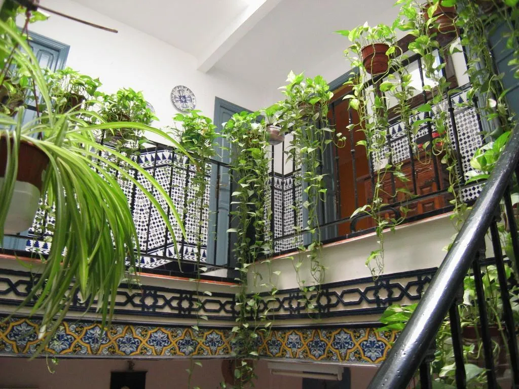 General view, Pension La Montorena, Seville