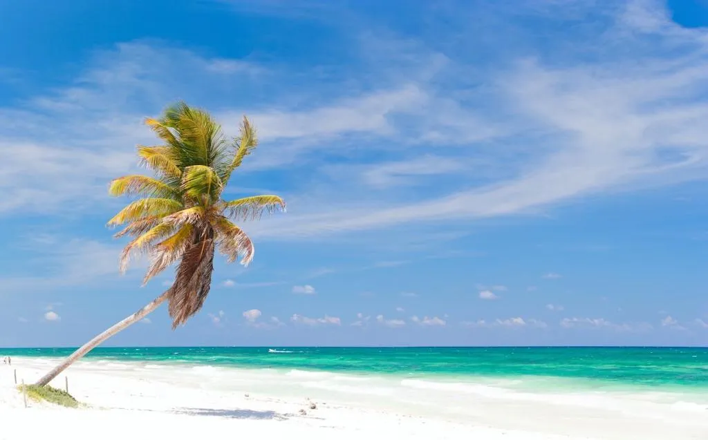 Sports and Entertainment, Kiimak Tulum, Cancun Area