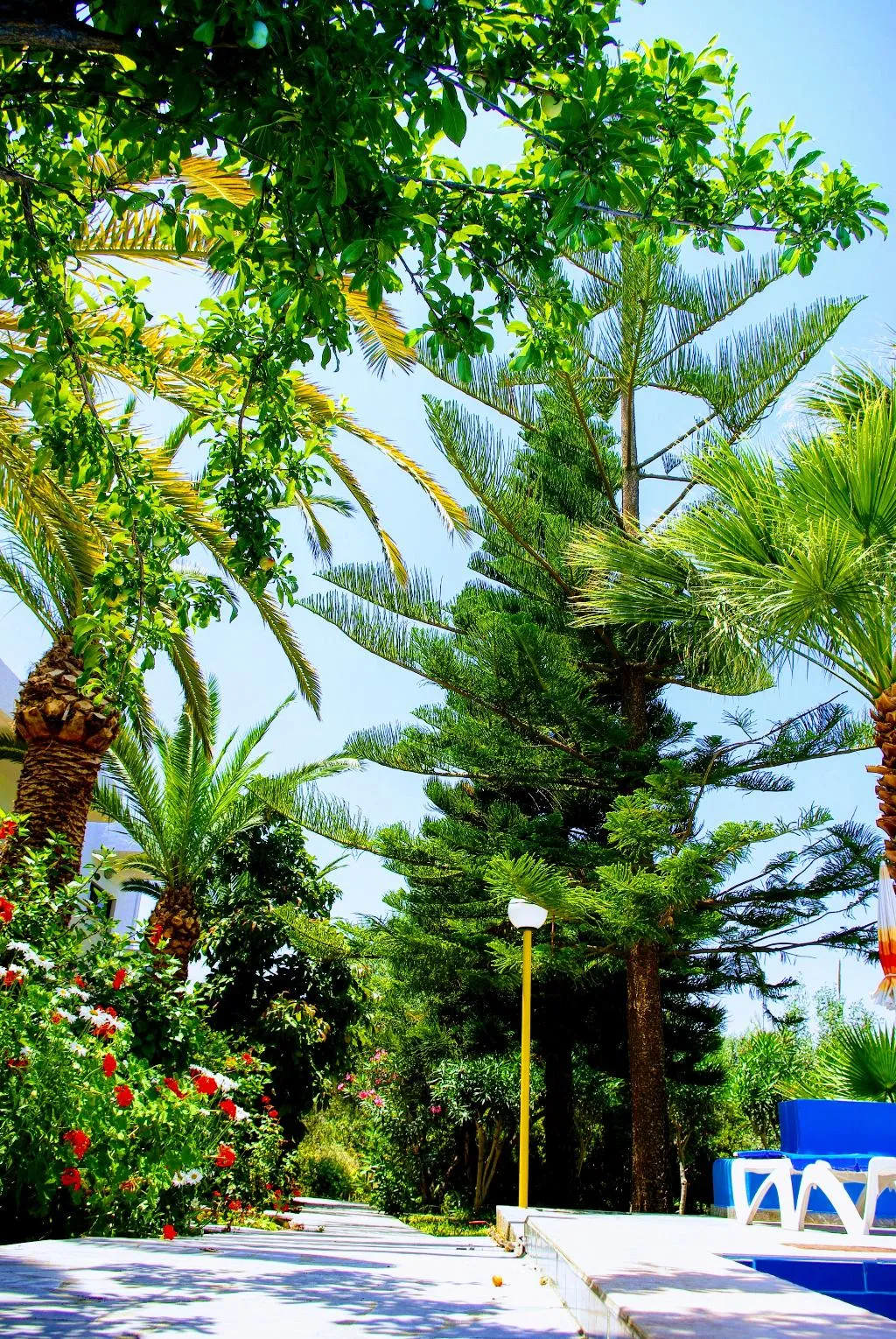 Pool, Aspro Hotel, Crete