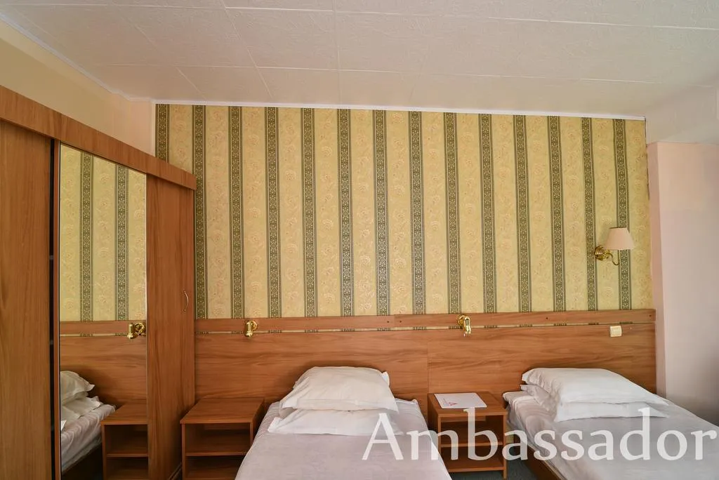 Room, Ambassador, Varna