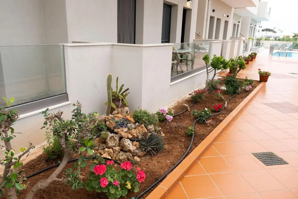 Terrace, Aspri Petra, Crete