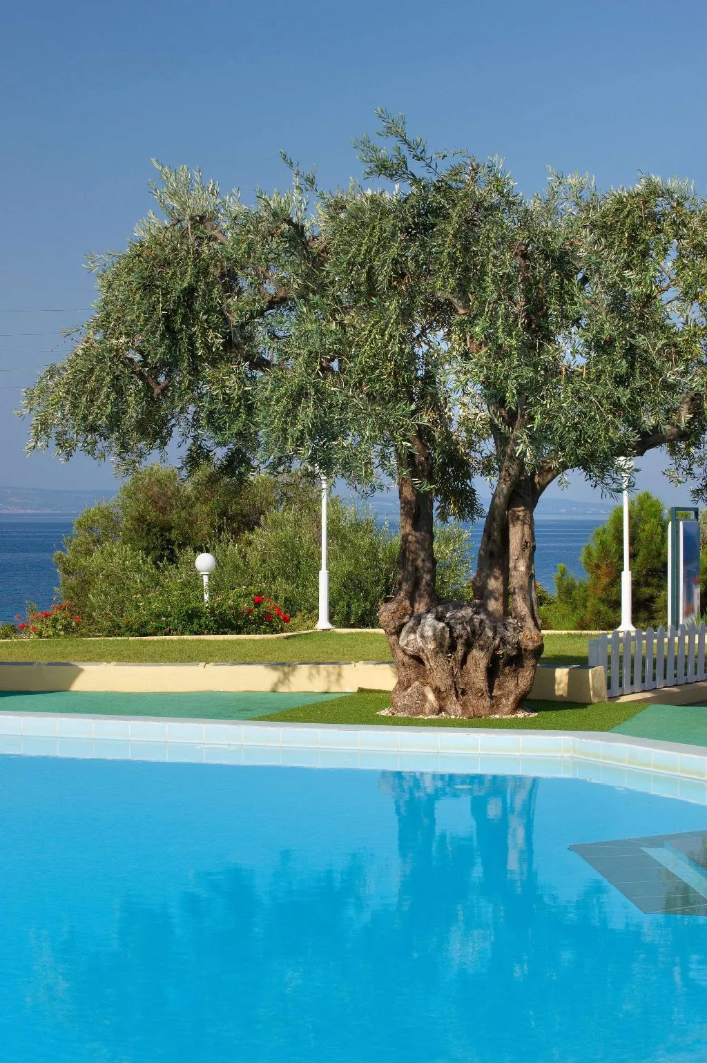 Pool, Acrotel Elea Beach, Halkidiki