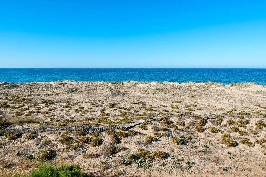 Beach, Oliva Nova Beach & Golf Hotel, Fuerteventura