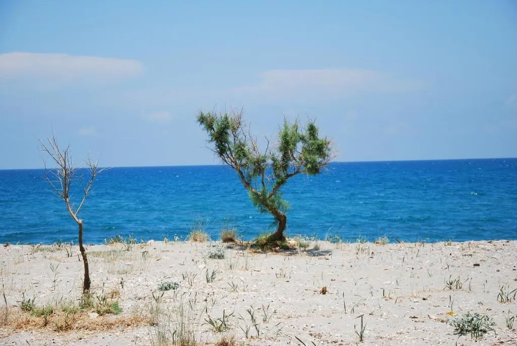 General view, Lito Beach, Crete