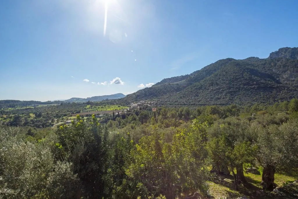 General view, Finca Hotel Es Castell, Majorca
