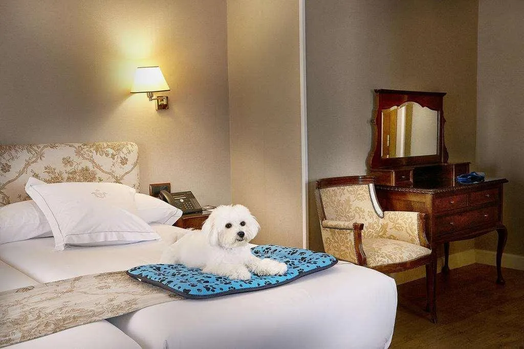 Room, Principe Pio, Madrid