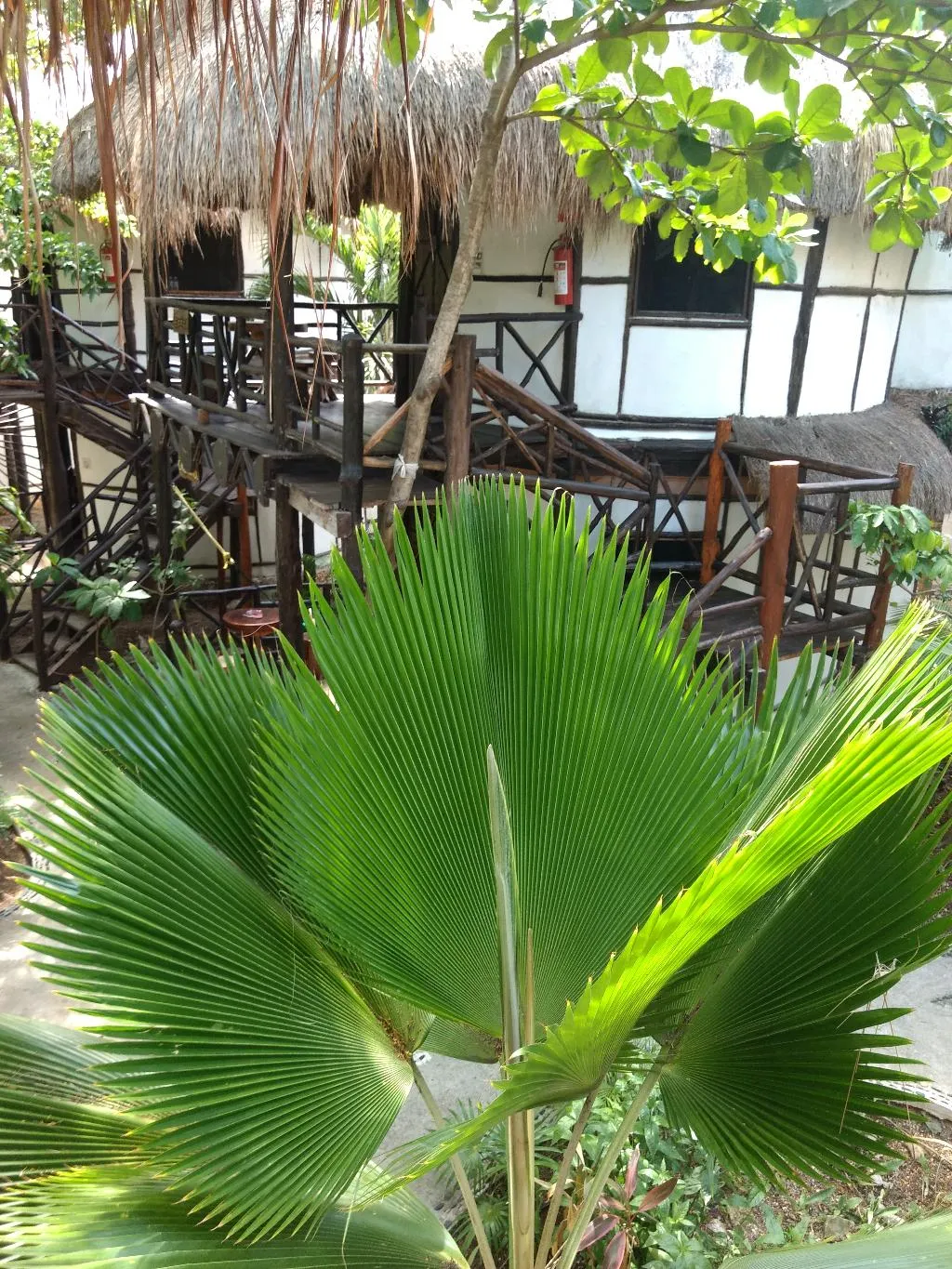 General view, Green Tulum Cabañas & Gardens, Cancun Area