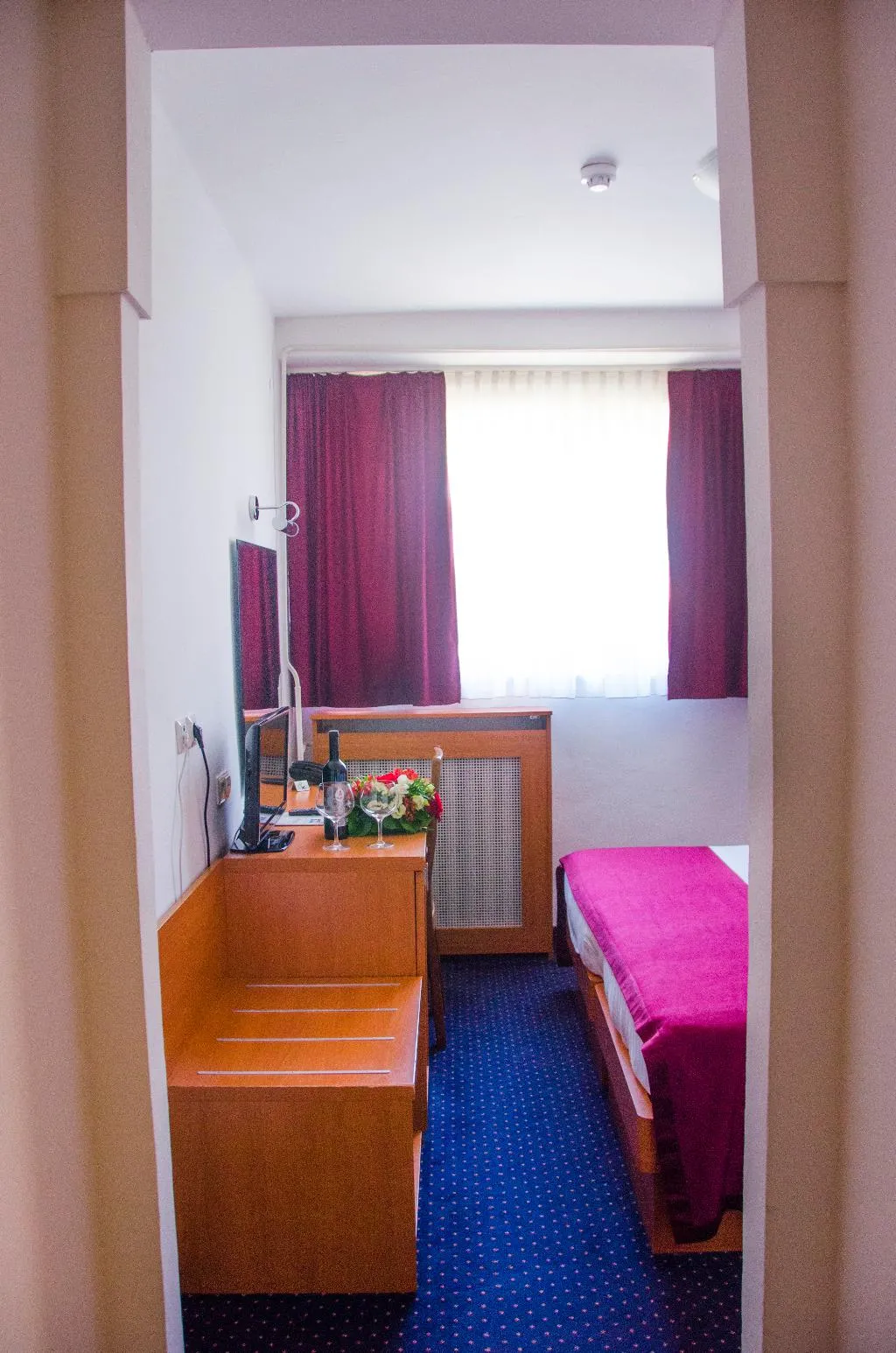 DOUBLE PARK VIEW Room, Petka Hotel, Dubrovnik