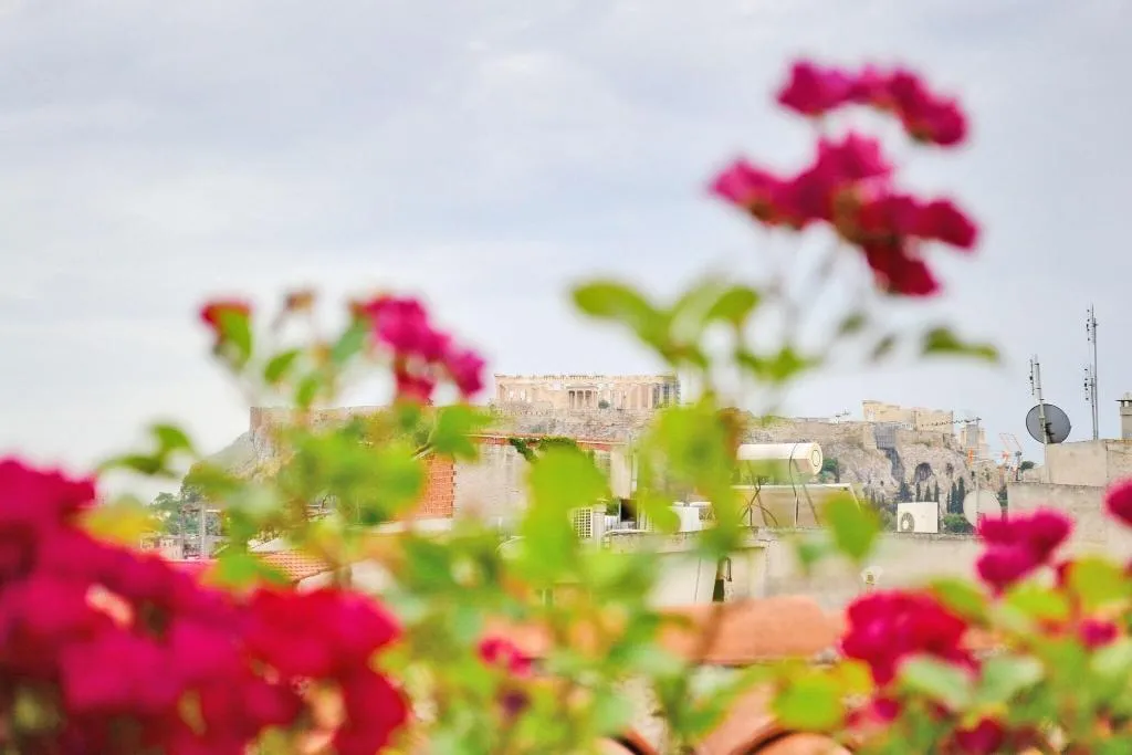 Terrace, City Circus Athens - Hostel, Athens