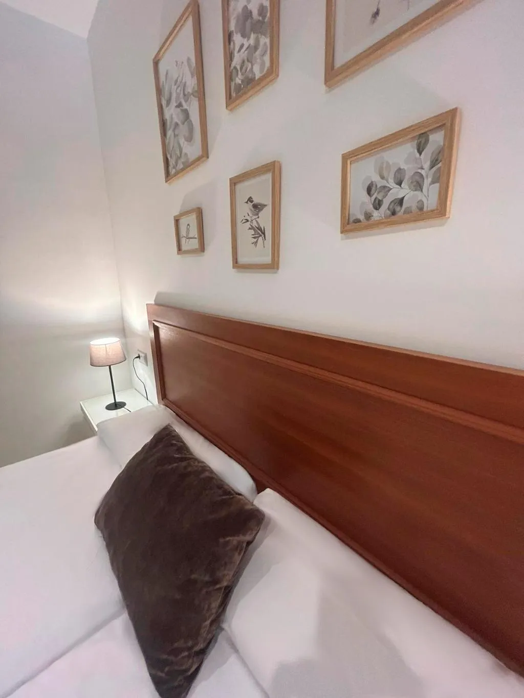 Double or Twin STANDARD Room, LEON DORMIDO Room & Apartments, Costa Blanca