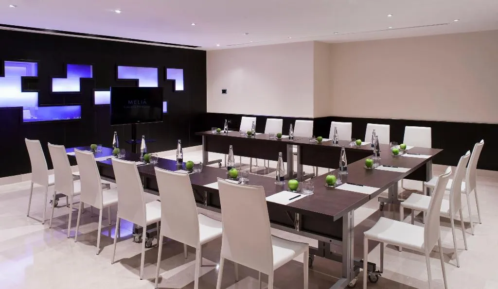 Conferences, Melia Madrid Princesa, Madrid