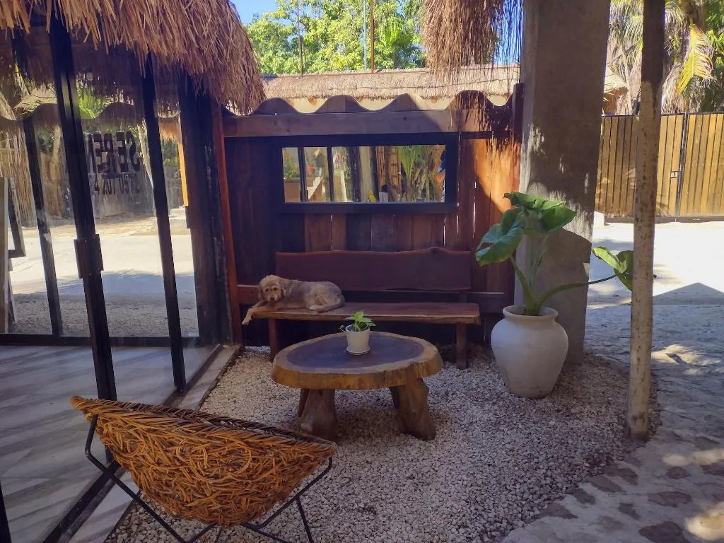 General view, Sivana Tulum, Cancun Area