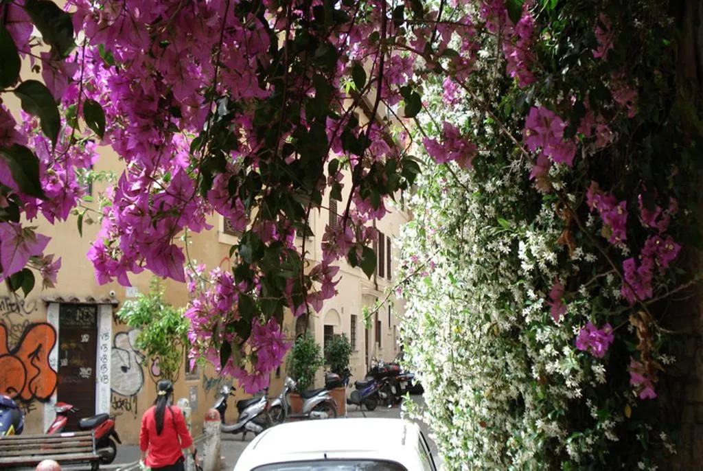 General view, Guest House Ventisei Scalini A Trastevere, Rome