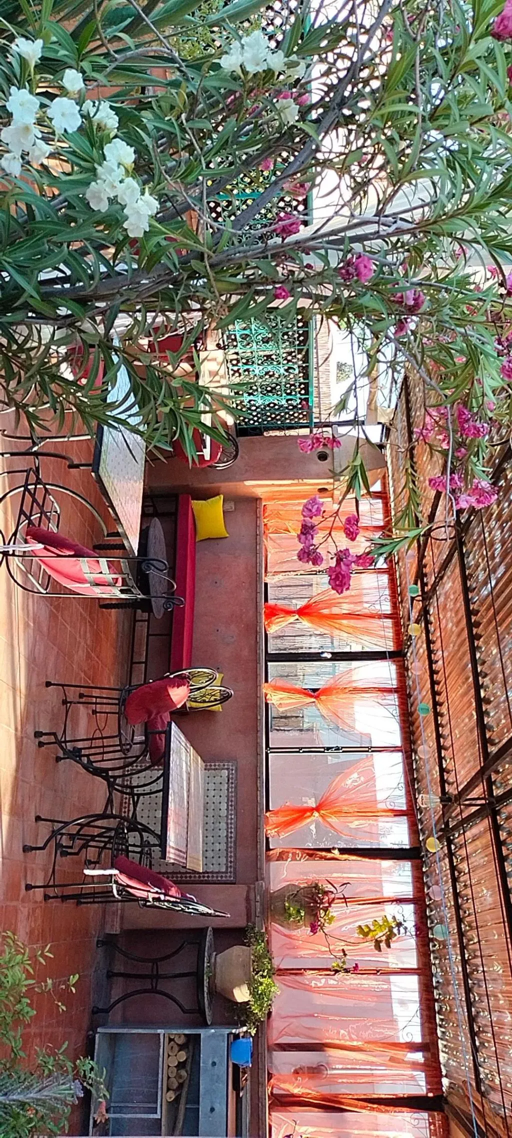 Terrace, Riad Bianca, Marrakech