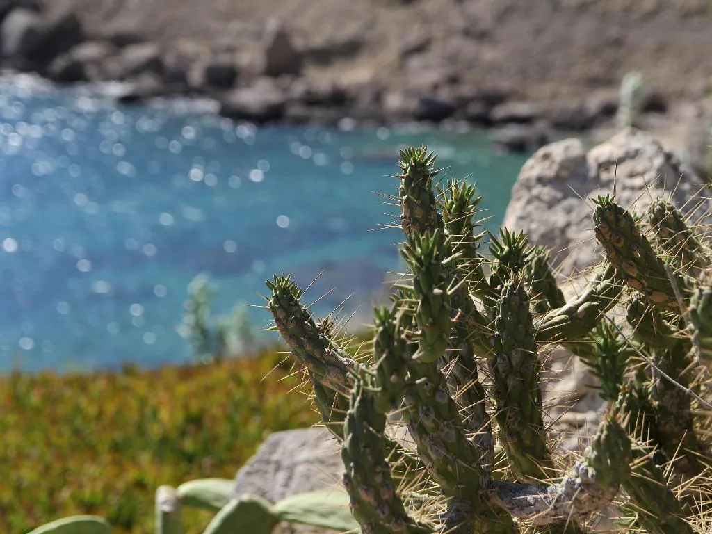 Beach, Mykonos Lolita, A Resort to Live, Zante