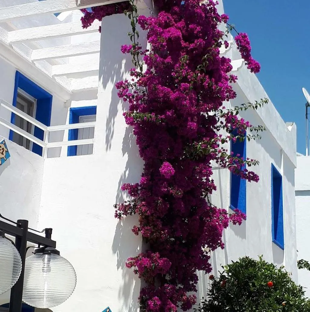 General view, Paradise Apart Hotel, Bodrum