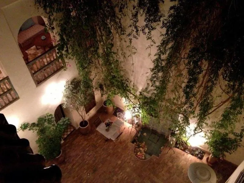 General view, Riad Le Coq Fou, Marrakech