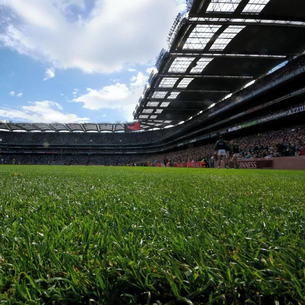 General view, Maldron Croke Park, Dublin