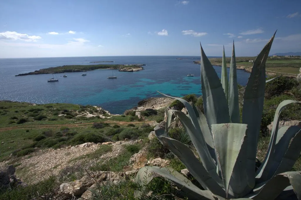 General view, Nido del Pellegrino, Trapani