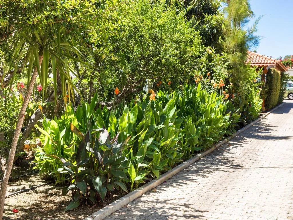 General view, Flor da Laranja, Algarve