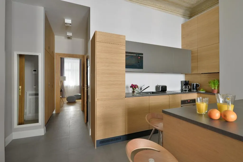 General view, Stradonia Serviced Apartments, Krakow
