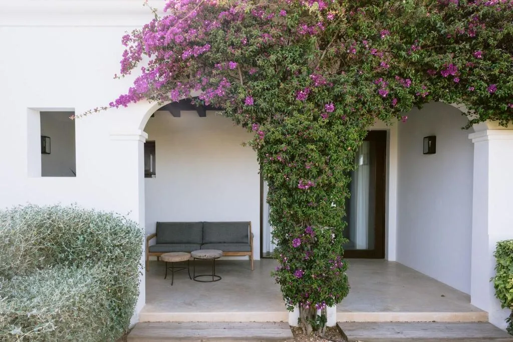 General view, Casa Maca (Es Trull de Can Palau), Ibiza