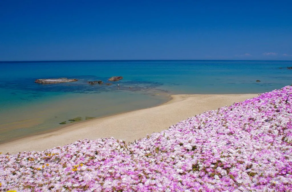 Beach, Hotel Residence Ampurias, Cagliari