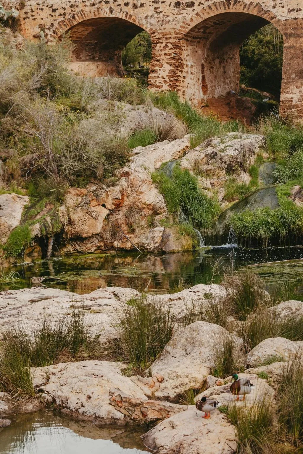 General view, Riomar, Ibiza