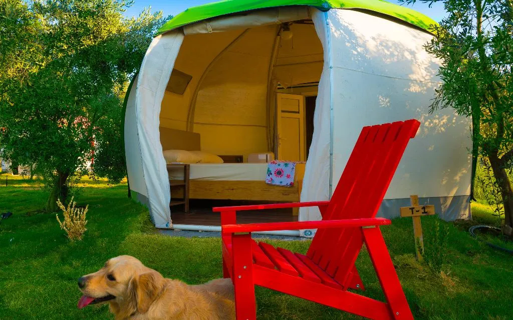 Tent GARDEN VIEW Room, Chingene Glamping, Antalya